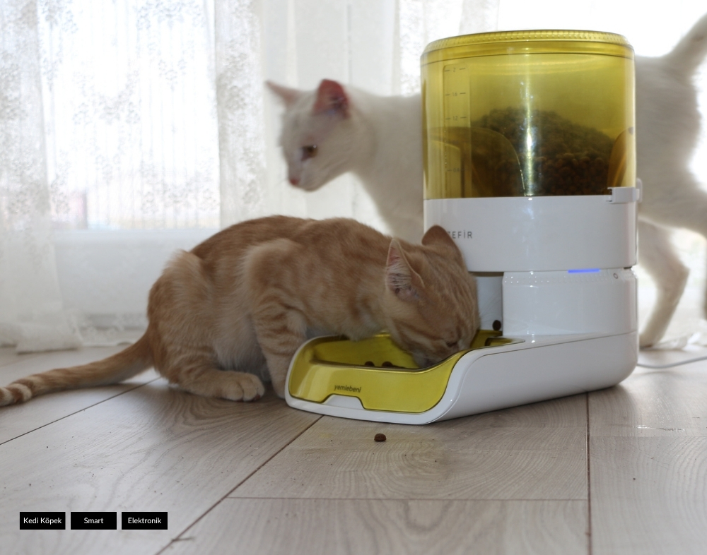 Venn Tasarım Ankara